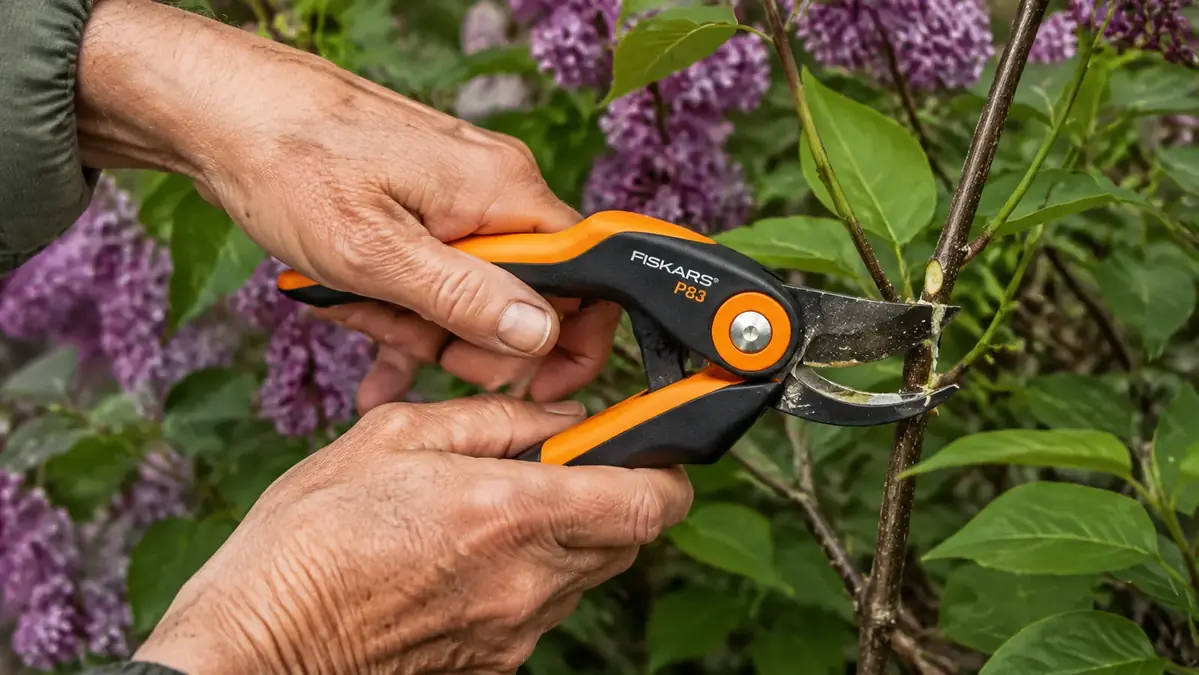 Close-up of hands gripping the Fiskars bypass loppers mid-squeeze on a thick lilac stem