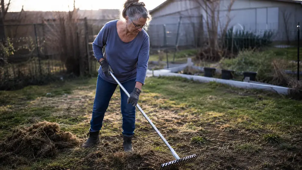 How to Level Soil and Remove Thatch With a Bow Rake